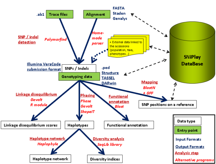 PLINK VCF to PED