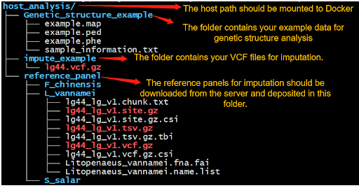 PLINK VCF to PED