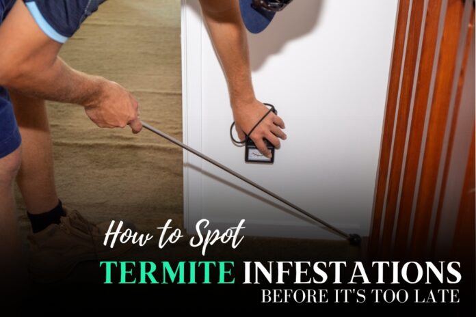 Termite Infestations